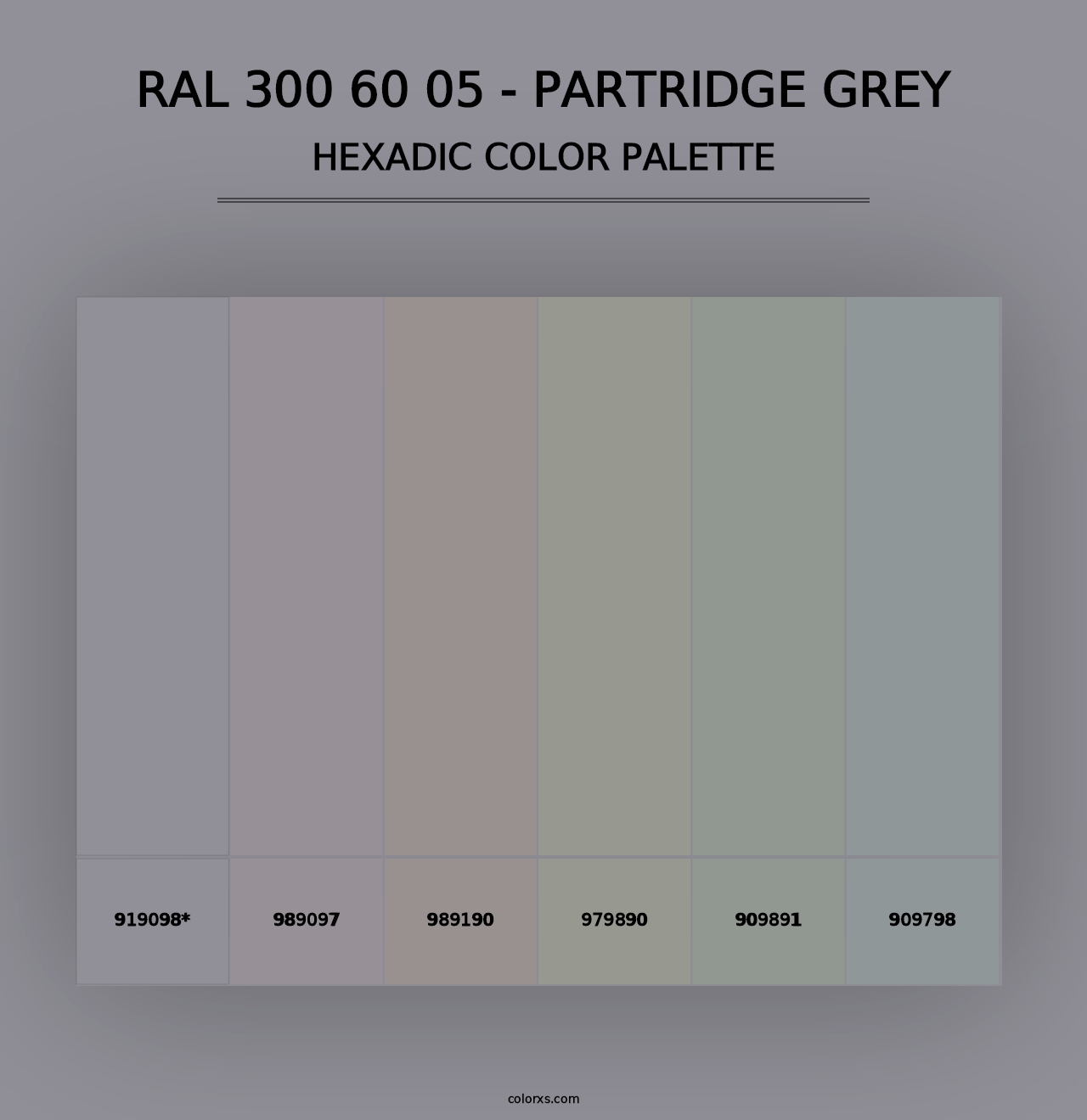 RAL 300 60 05 - Partridge Grey - Hexadic Color Palette