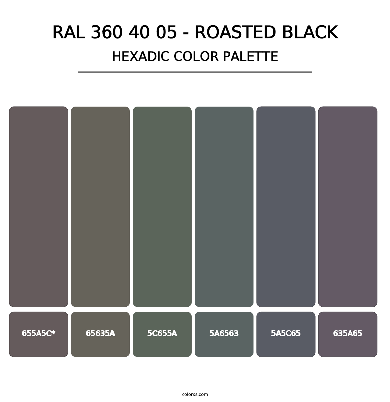 RAL 360 40 05 - Roasted Black - Hexadic Color Palette