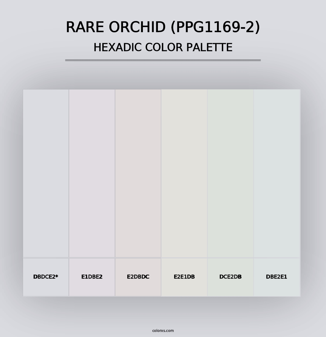 Rare Orchid (PPG1169-2) - Hexadic Color Palette