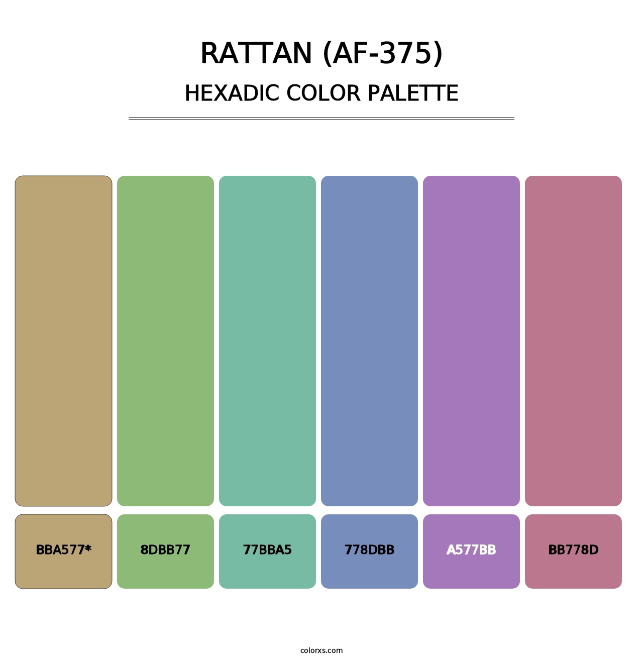 Rattan (AF-375) - Hexadic Color Palette