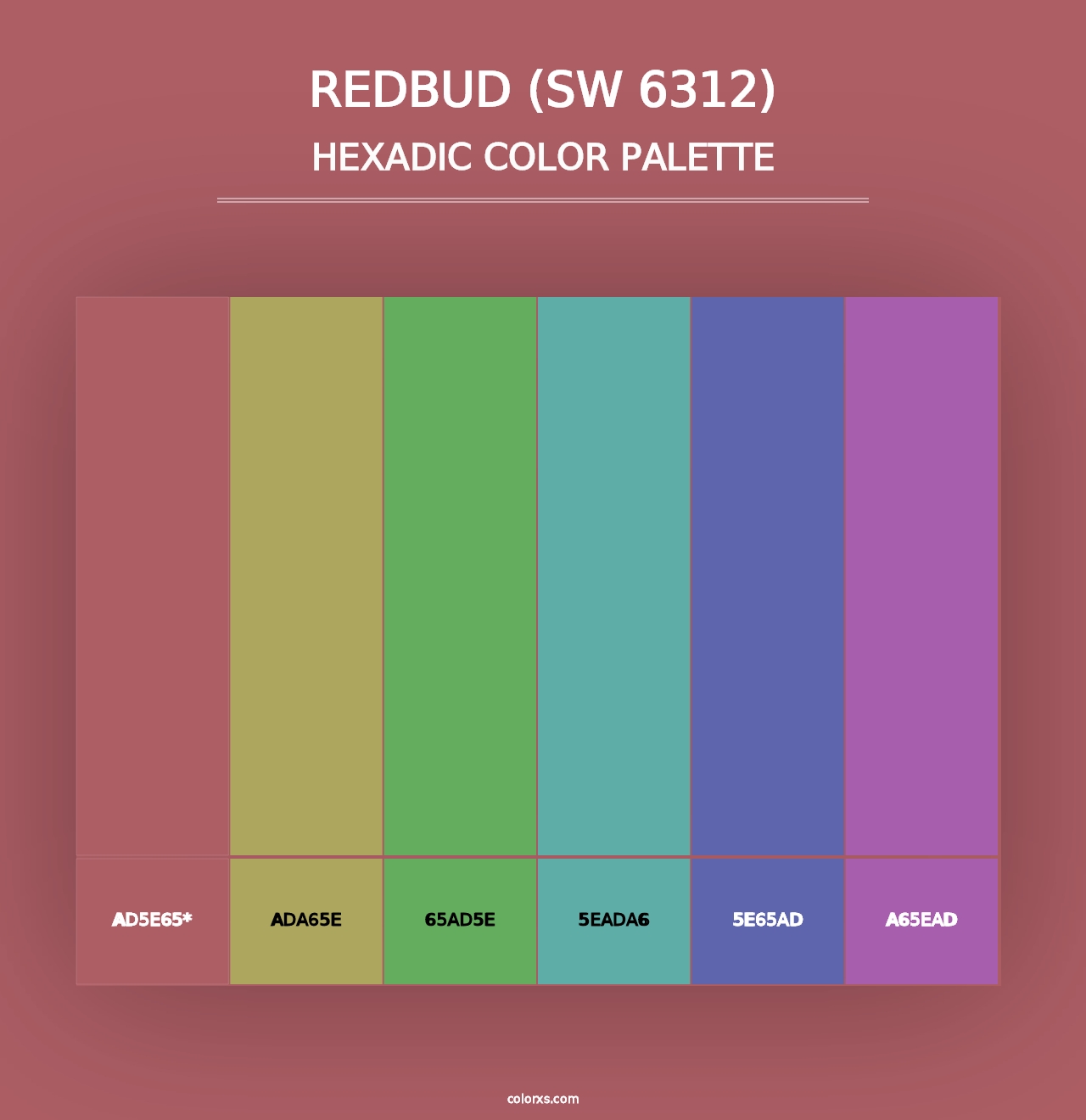 Redbud (SW 6312) - Hexadic Color Palette