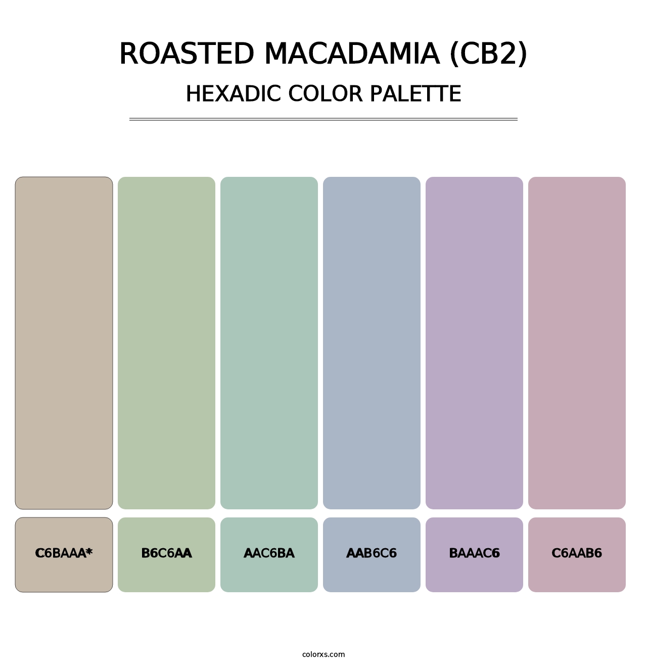 Roasted Macadamia (CB2) - Hexadic Color Palette