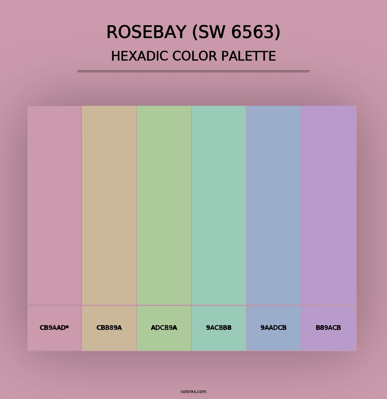 Rosebay (SW 6563) - Hexadic Color Palette