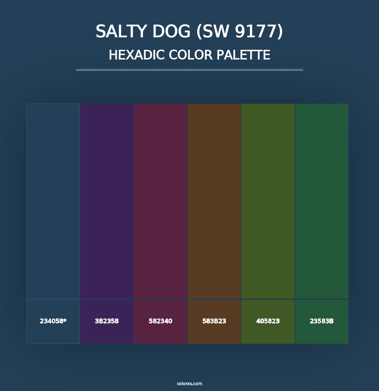 Salty Dog (SW 9177) - Hexadic Color Palette