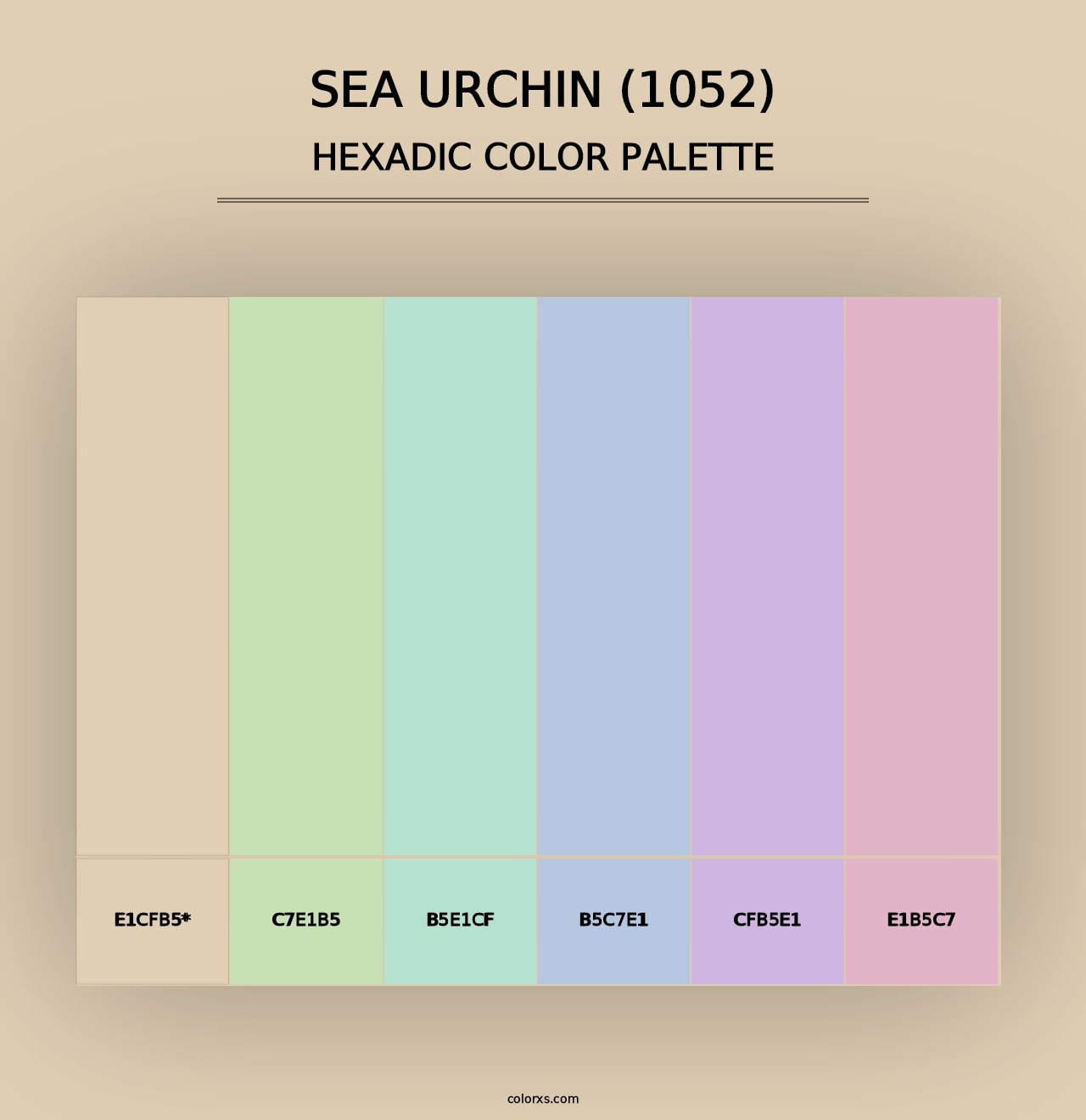 Sea Urchin (1052) - Hexadic Color Palette