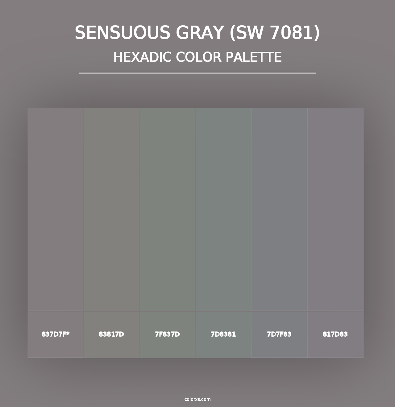 Sensuous Gray (SW 7081) - Hexadic Color Palette