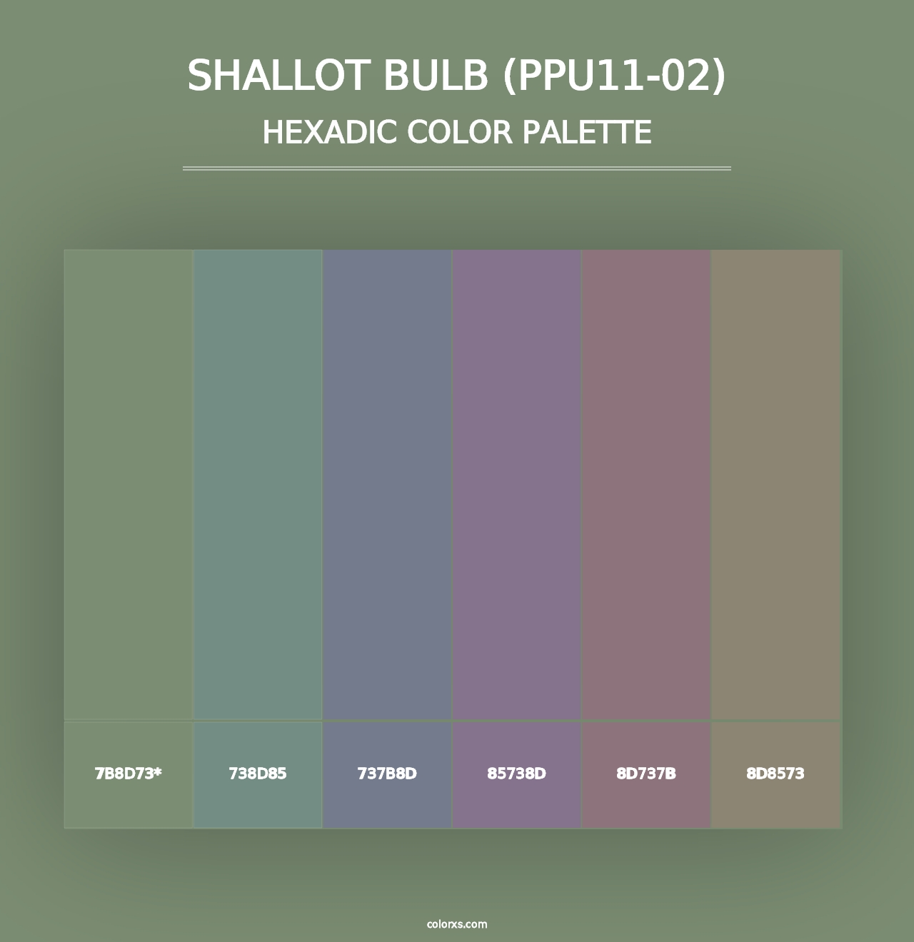 Shallot Bulb (PPU11-02) - Hexadic Color Palette