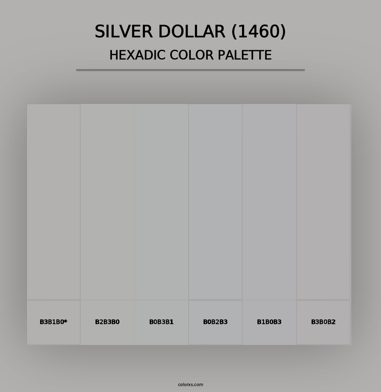 Silver Dollar (1460) - Hexadic Color Palette