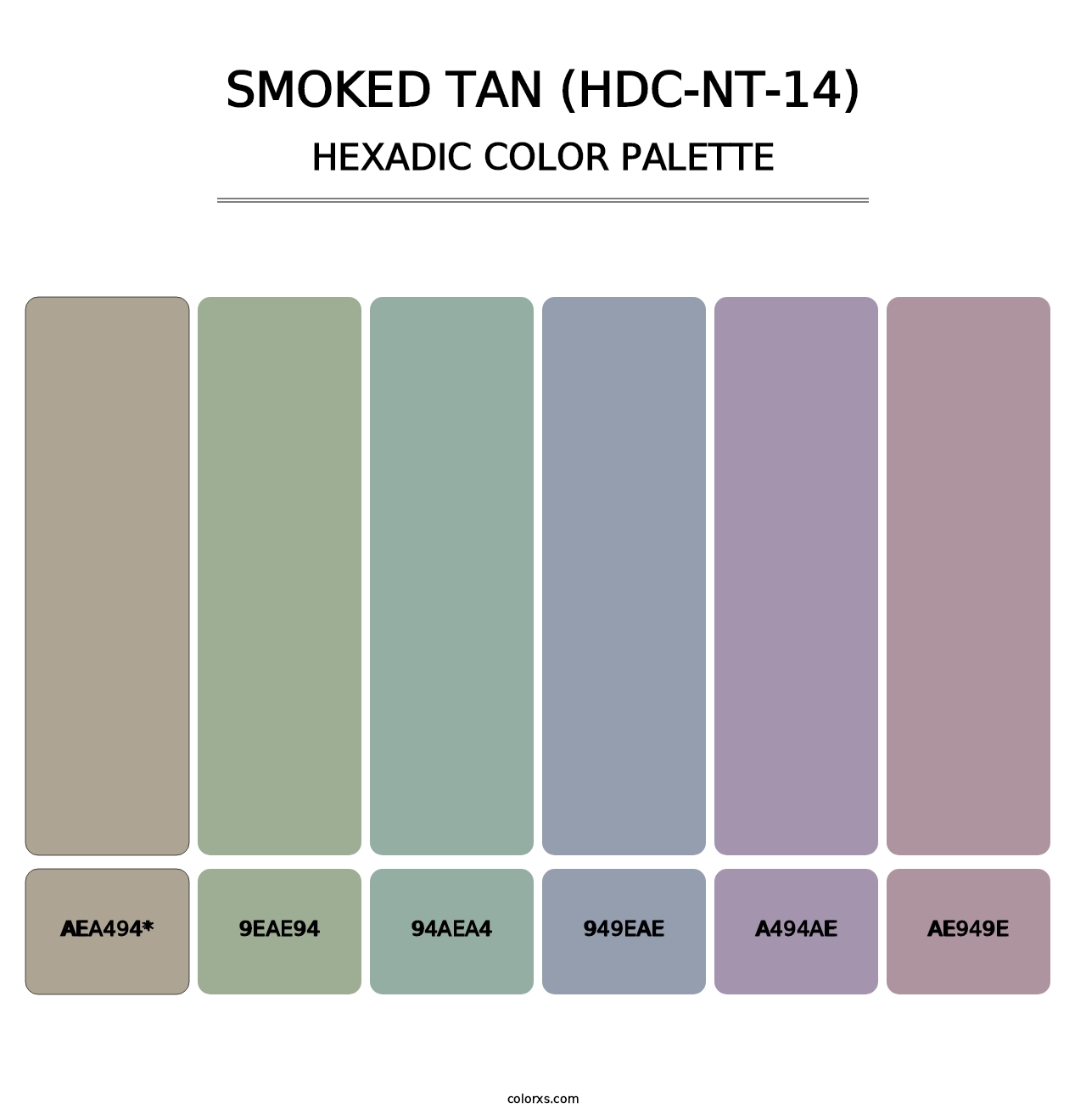 Smoked Tan (HDC-NT-14) - Hexadic Color Palette