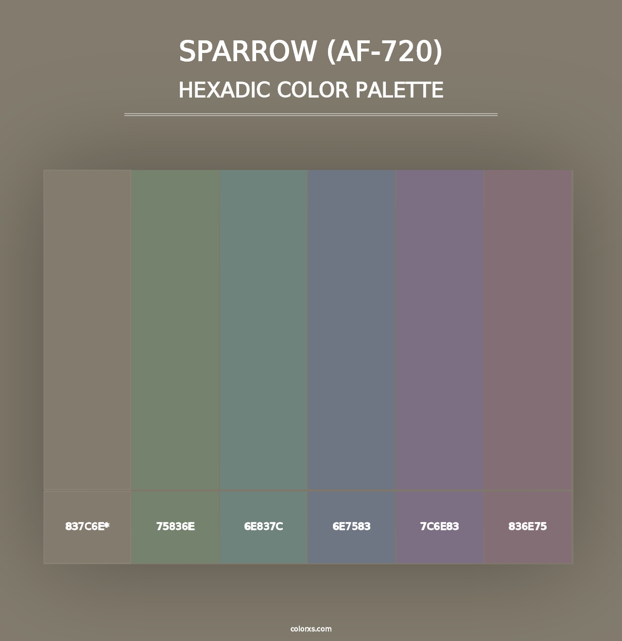 Sparrow (AF-720) - Hexadic Color Palette