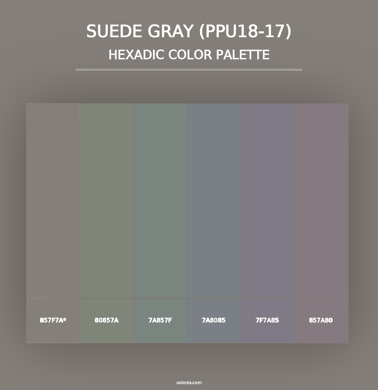 Suede Gray (PPU18-17) - Hexadic Color Palette