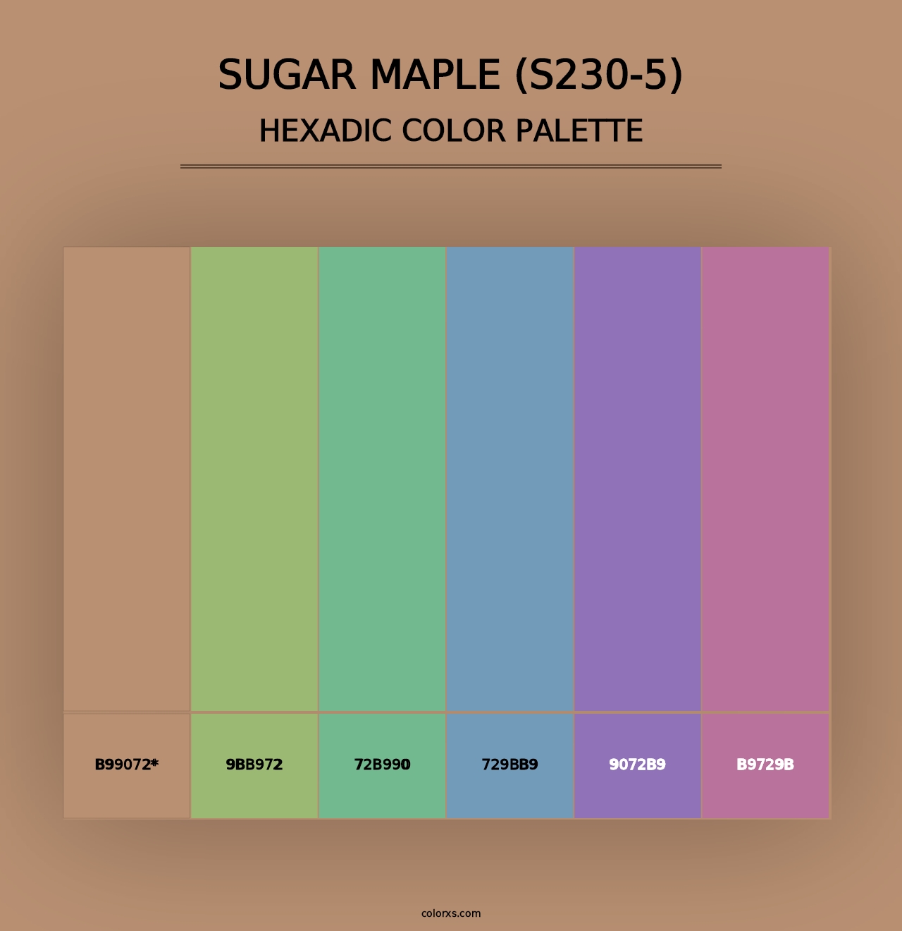 Sugar Maple (S230-5) - Hexadic Color Palette