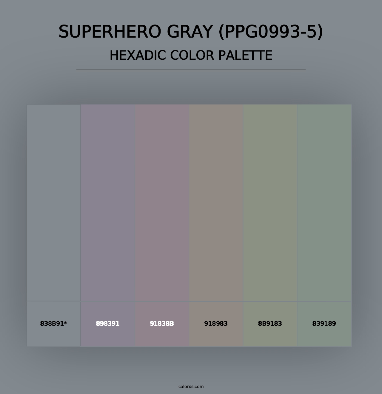 Superhero Gray (PPG0993-5) - Hexadic Color Palette