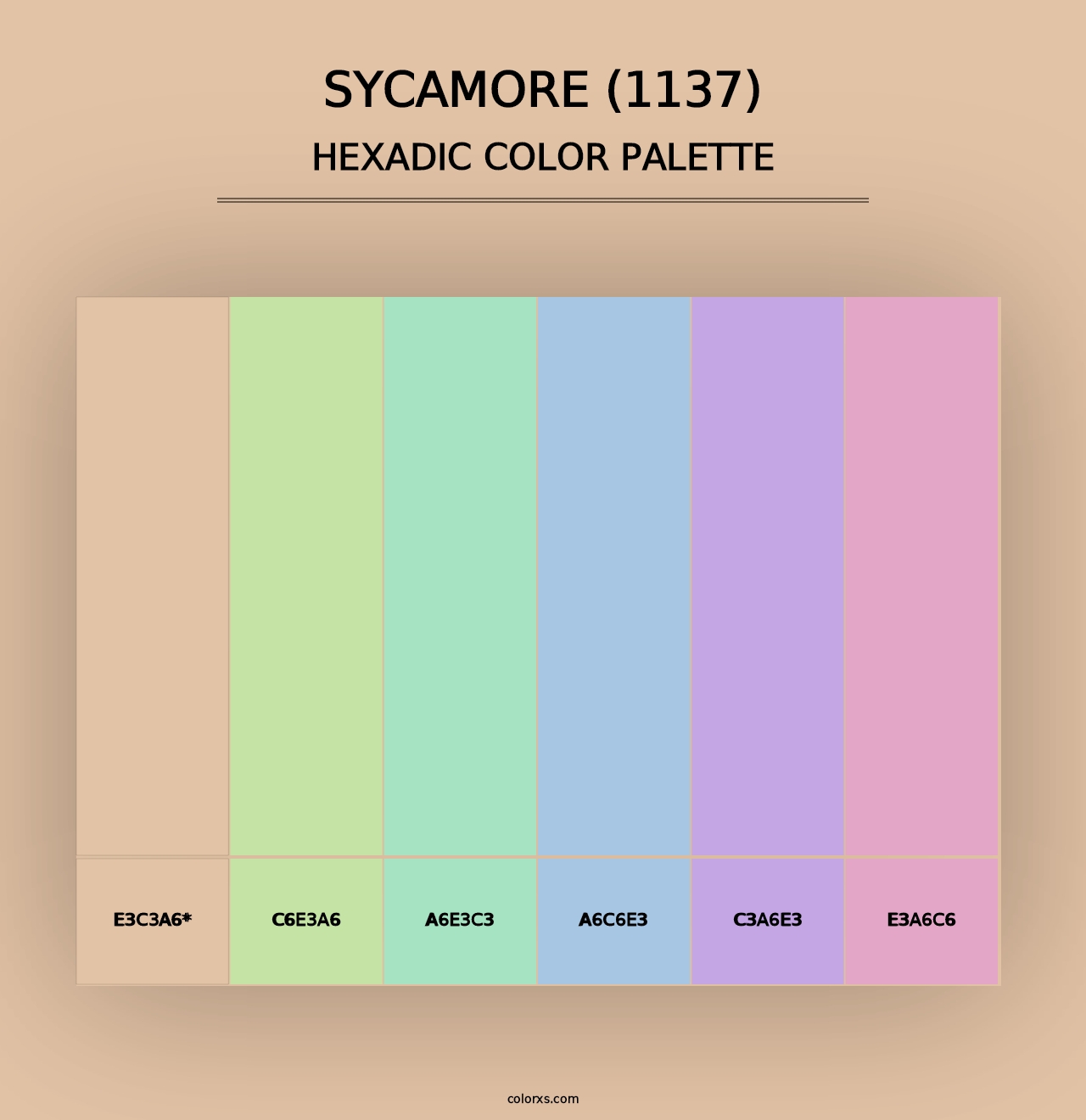 Sycamore (1137) - Hexadic Color Palette