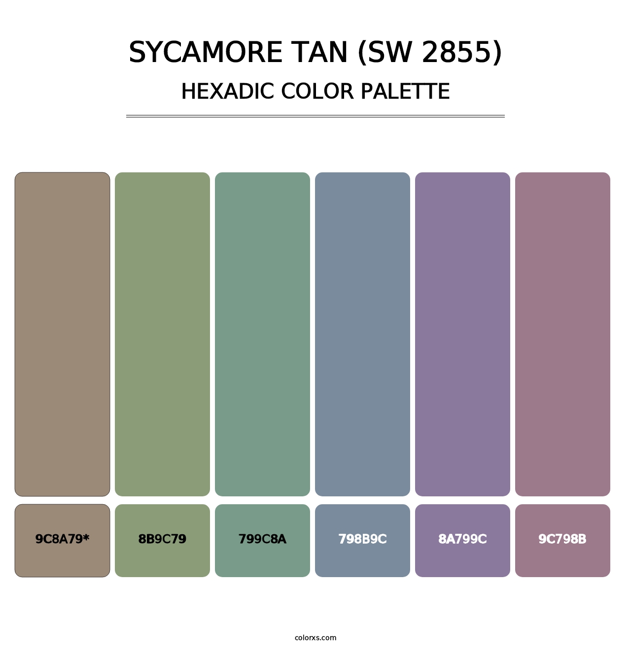 Sycamore Tan (SW 2855) - Hexadic Color Palette