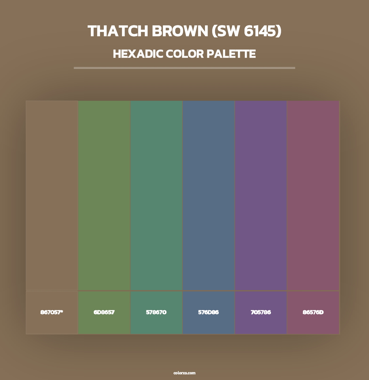 Thatch Brown (SW 6145) - Hexadic Color Palette