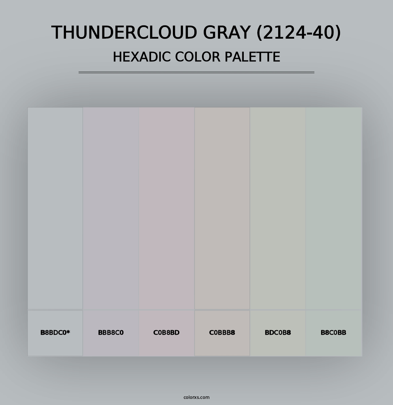 Thundercloud Gray (2124-40) - Hexadic Color Palette