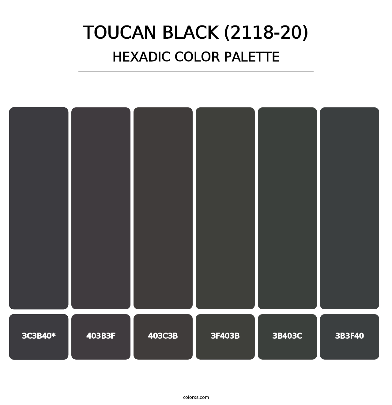 Toucan Black (2118-20) - Hexadic Color Palette