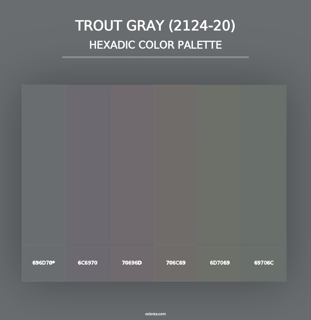 Trout Gray (2124-20) - Hexadic Color Palette