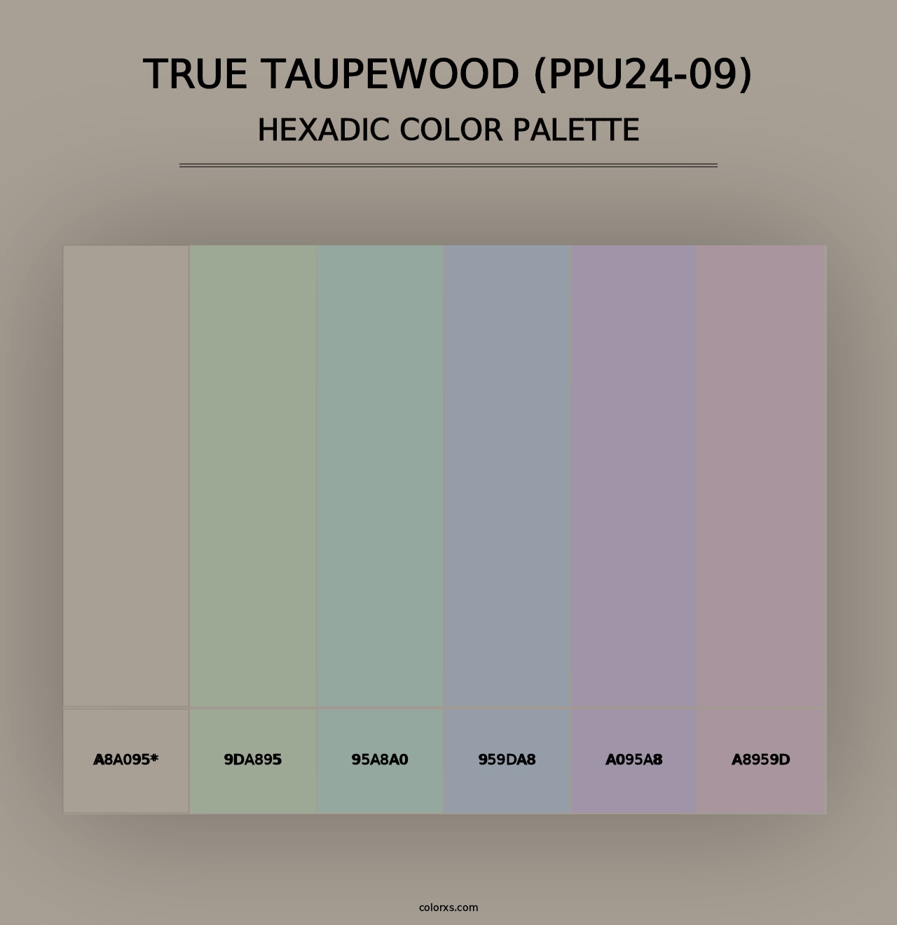 True Taupewood (PPU24-09) - Hexadic Color Palette