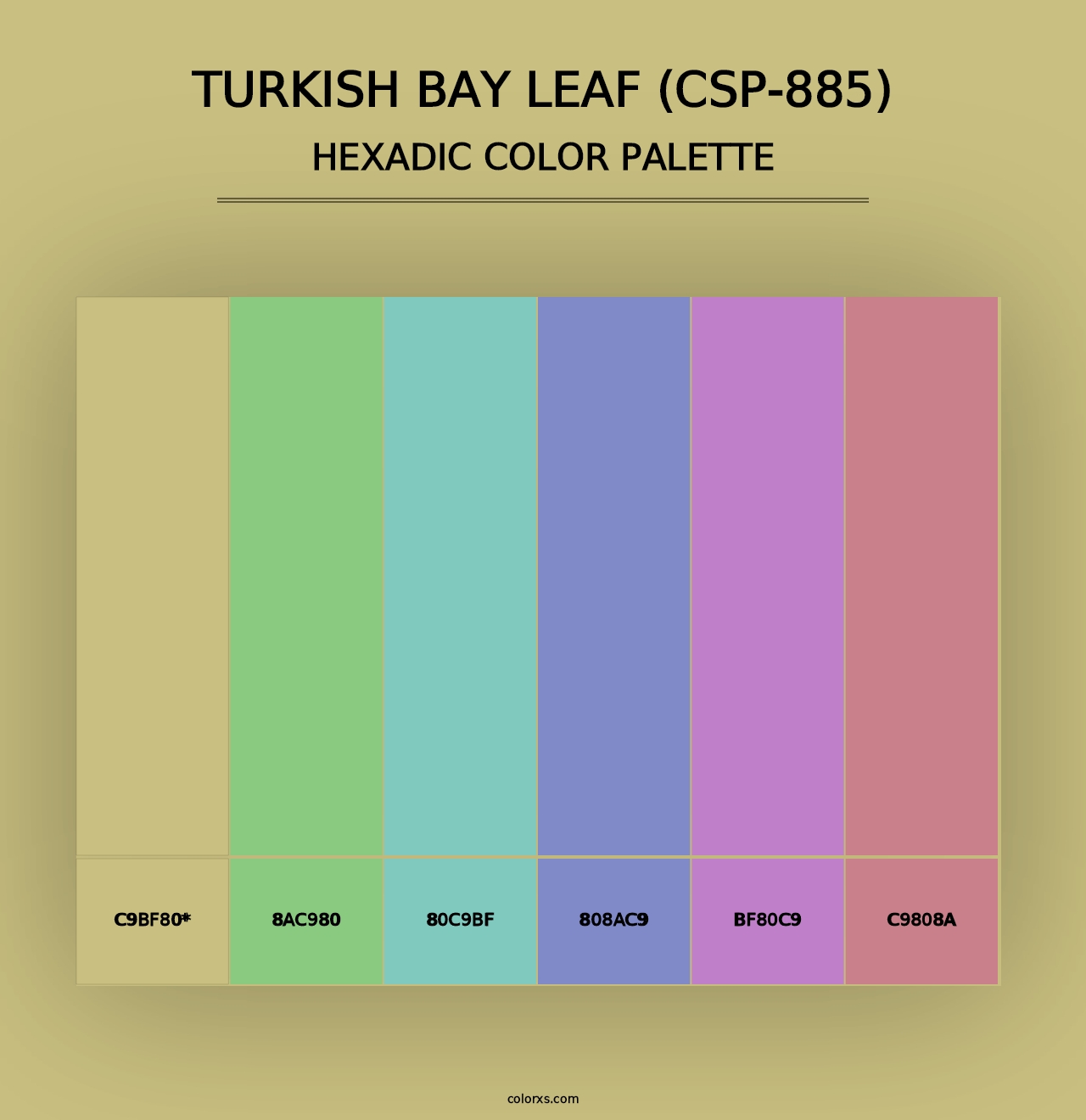 Turkish Bay Leaf (CSP-885) - Hexadic Color Palette