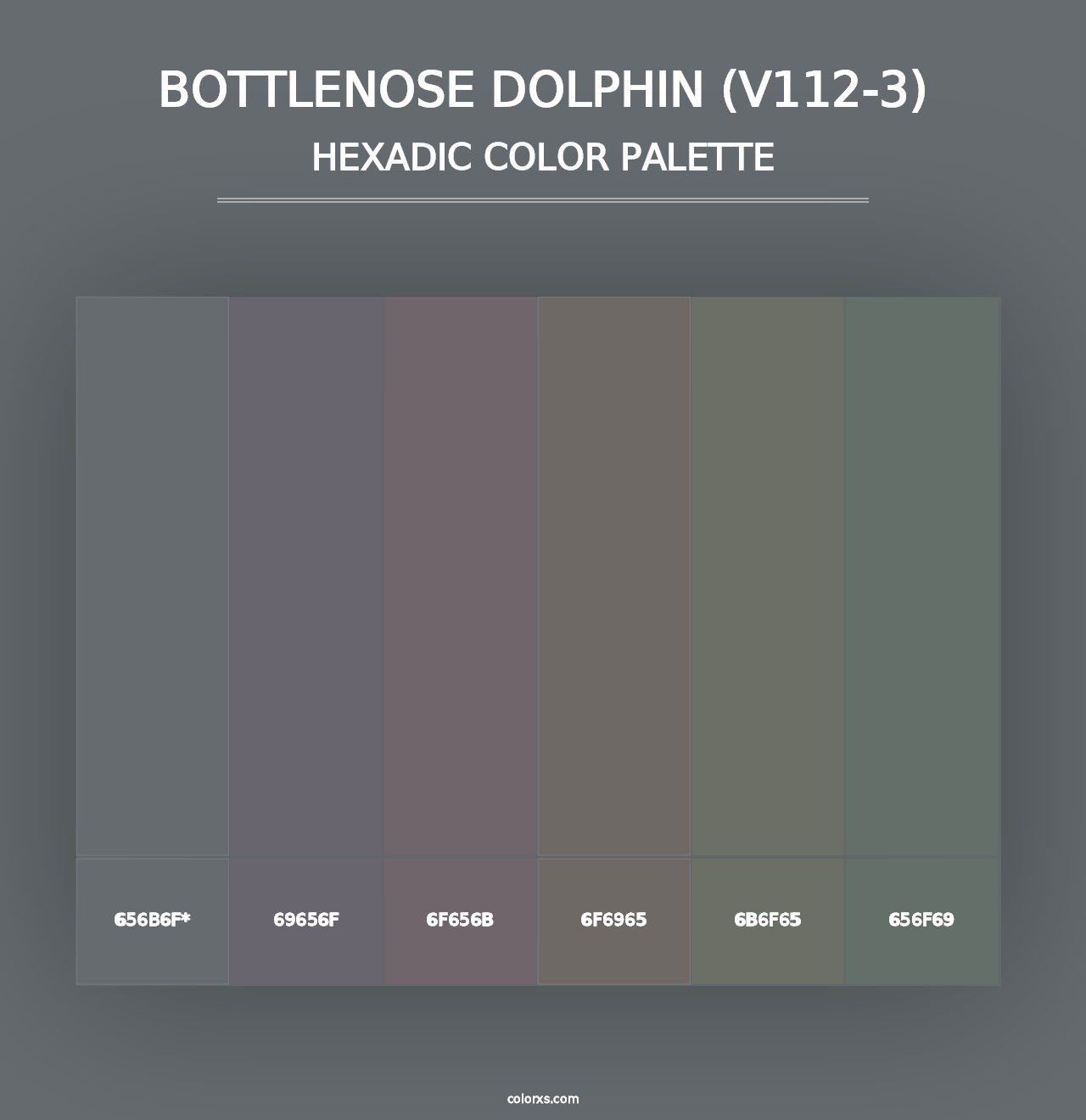 Bottlenose Dolphin (V112-3) - Hexadic Color Palette