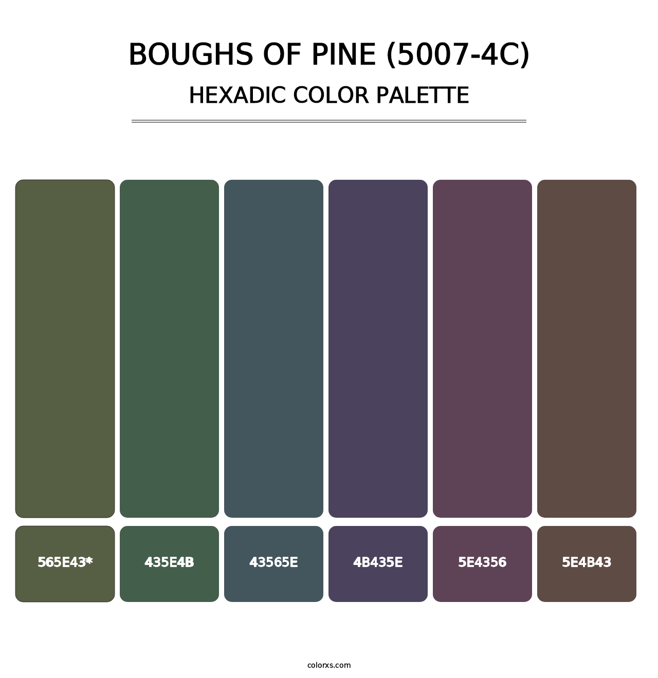 Boughs of Pine (5007-4C) - Hexadic Color Palette