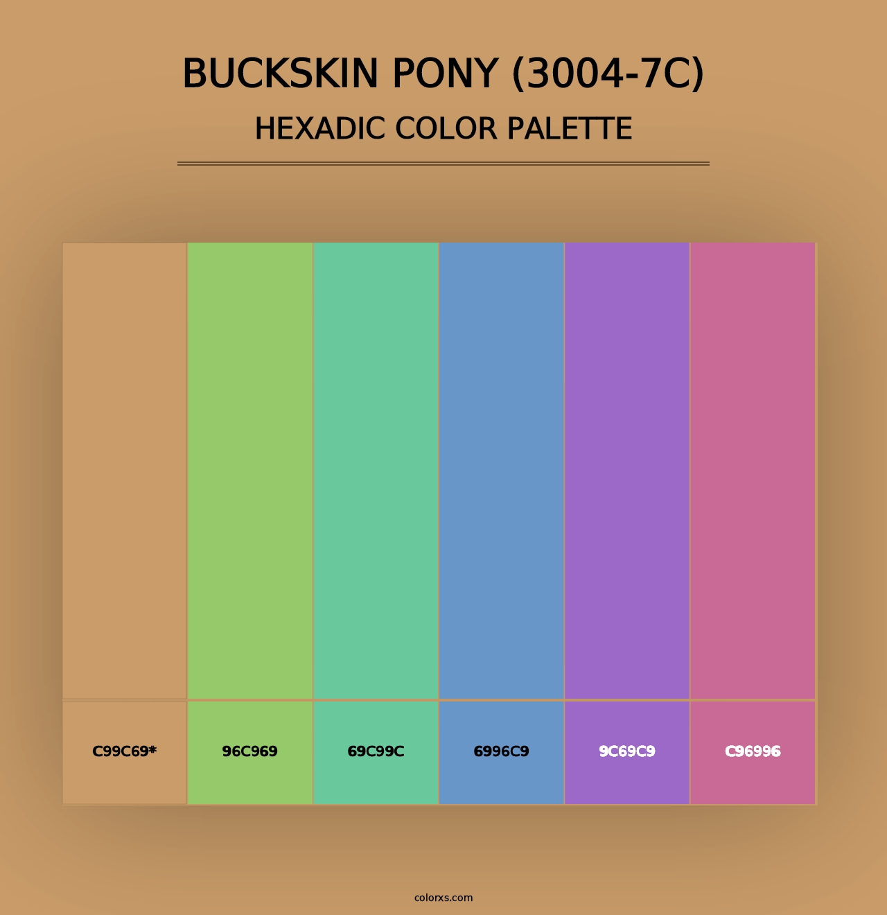 Buckskin Pony (3004-7C) - Hexadic Color Palette