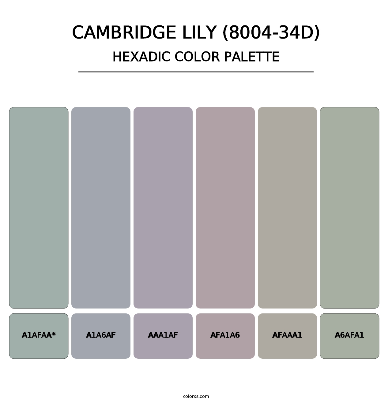 Cambridge Lily (8004-34D) - Hexadic Color Palette