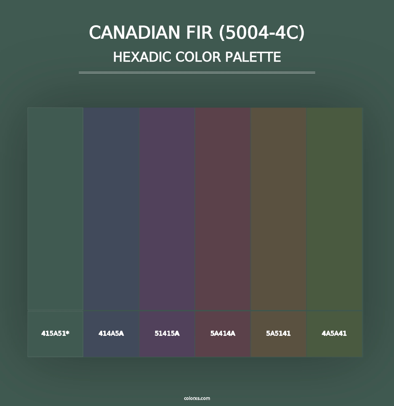 Canadian Fir (5004-4C) - Hexadic Color Palette