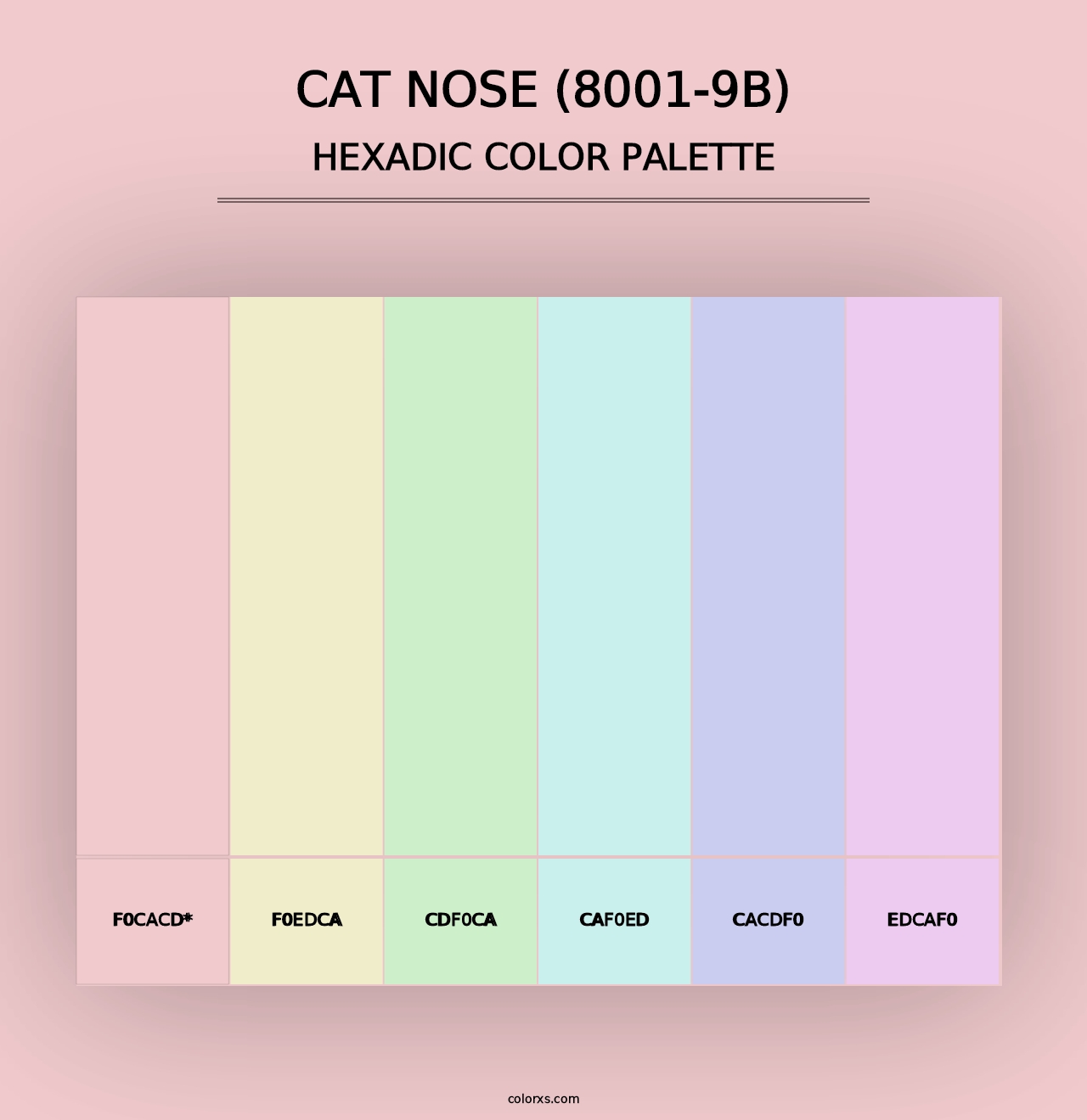 Cat Nose (8001-9B) - Hexadic Color Palette