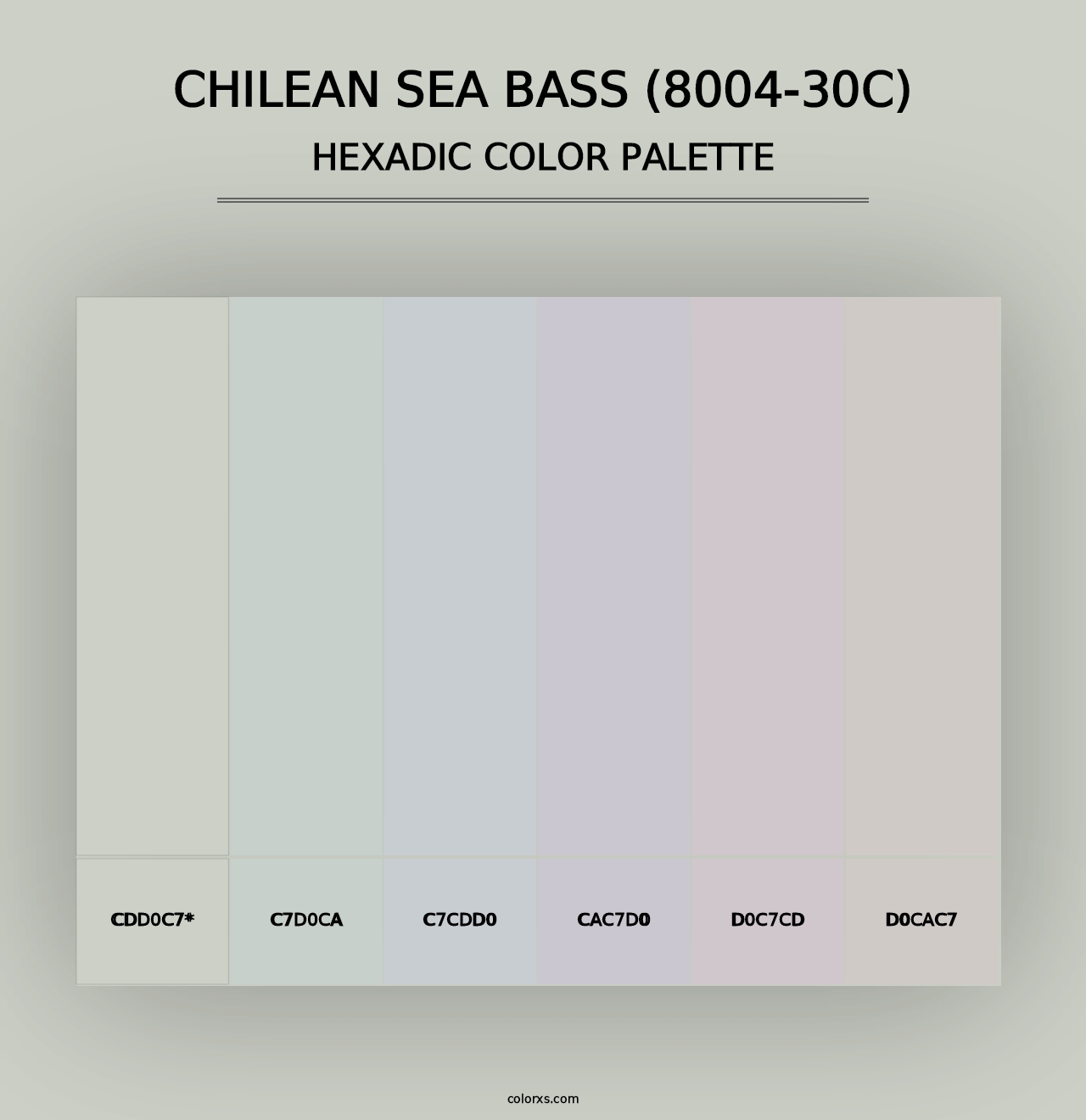 Chilean Sea Bass (8004-30C) - Hexadic Color Palette