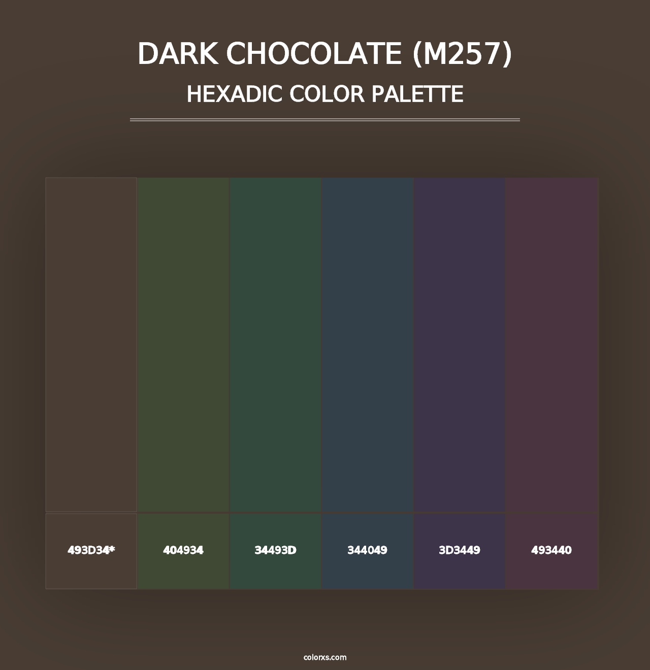 Dark Chocolate (M257) - Hexadic Color Palette