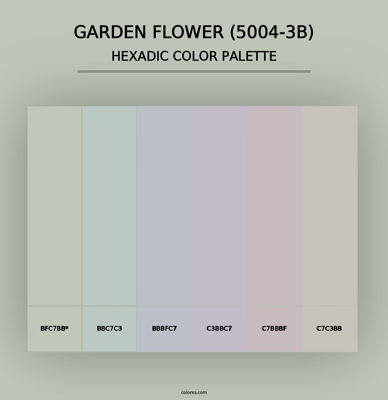 Garden Flower (5004-3B) - Hexadic Color Palette