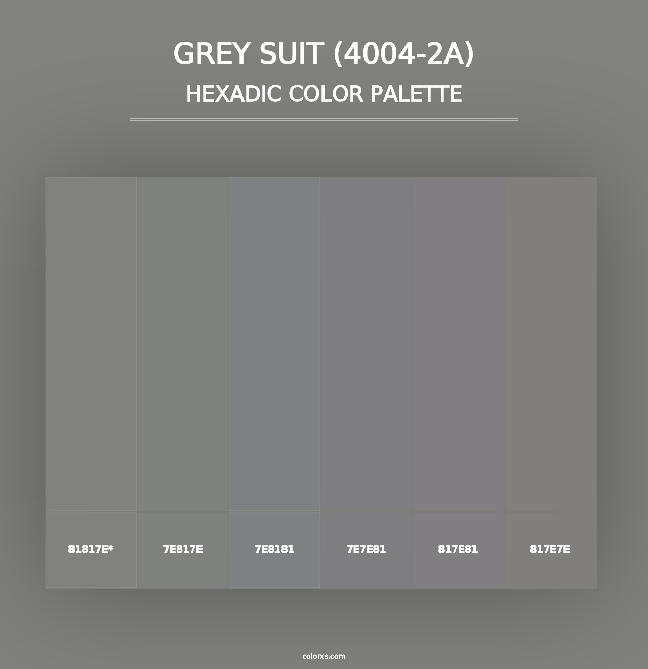 Grey Suit (4004-2A) - Hexadic Color Palette