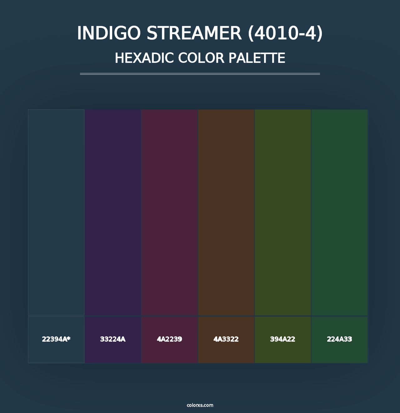 Indigo Streamer (4010-4) - Hexadic Color Palette