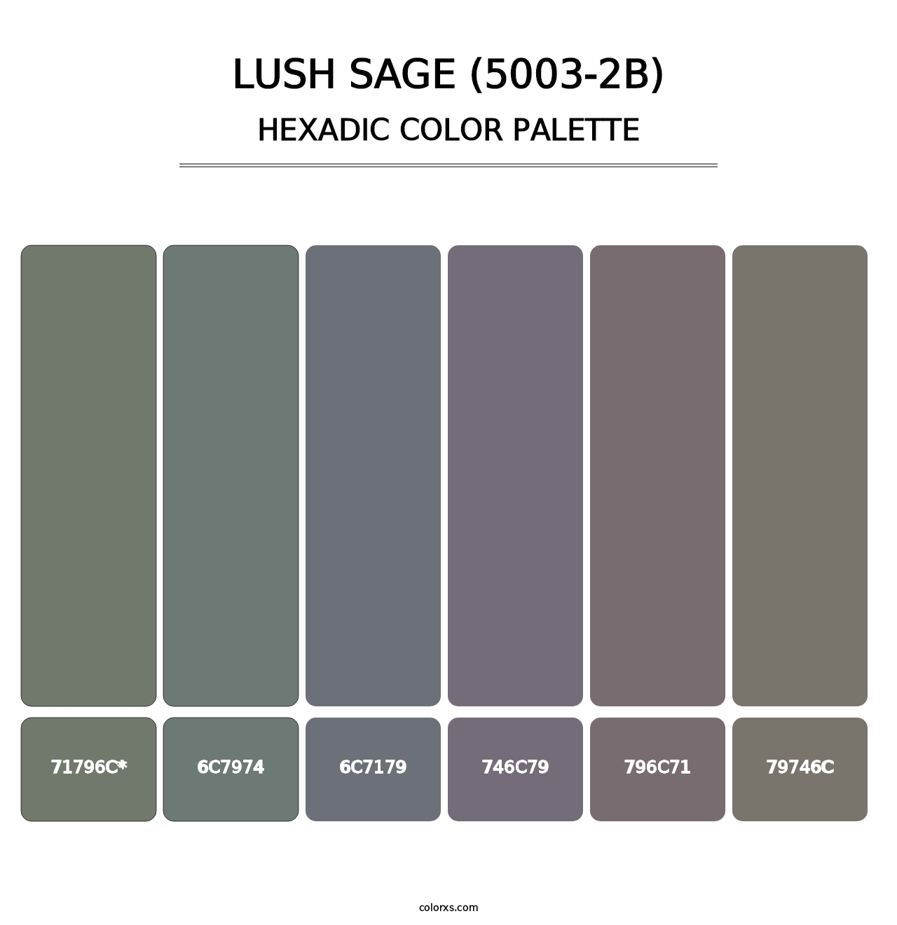 Lush Sage (5003-2B) - Hexadic Color Palette