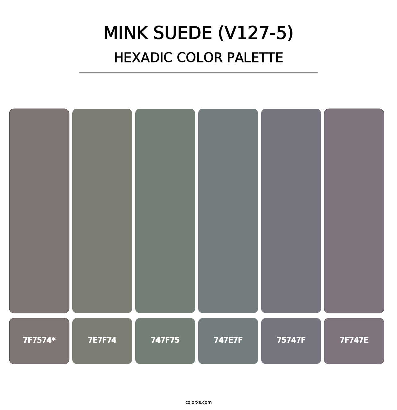 Mink Suede (V127-5) - Hexadic Color Palette