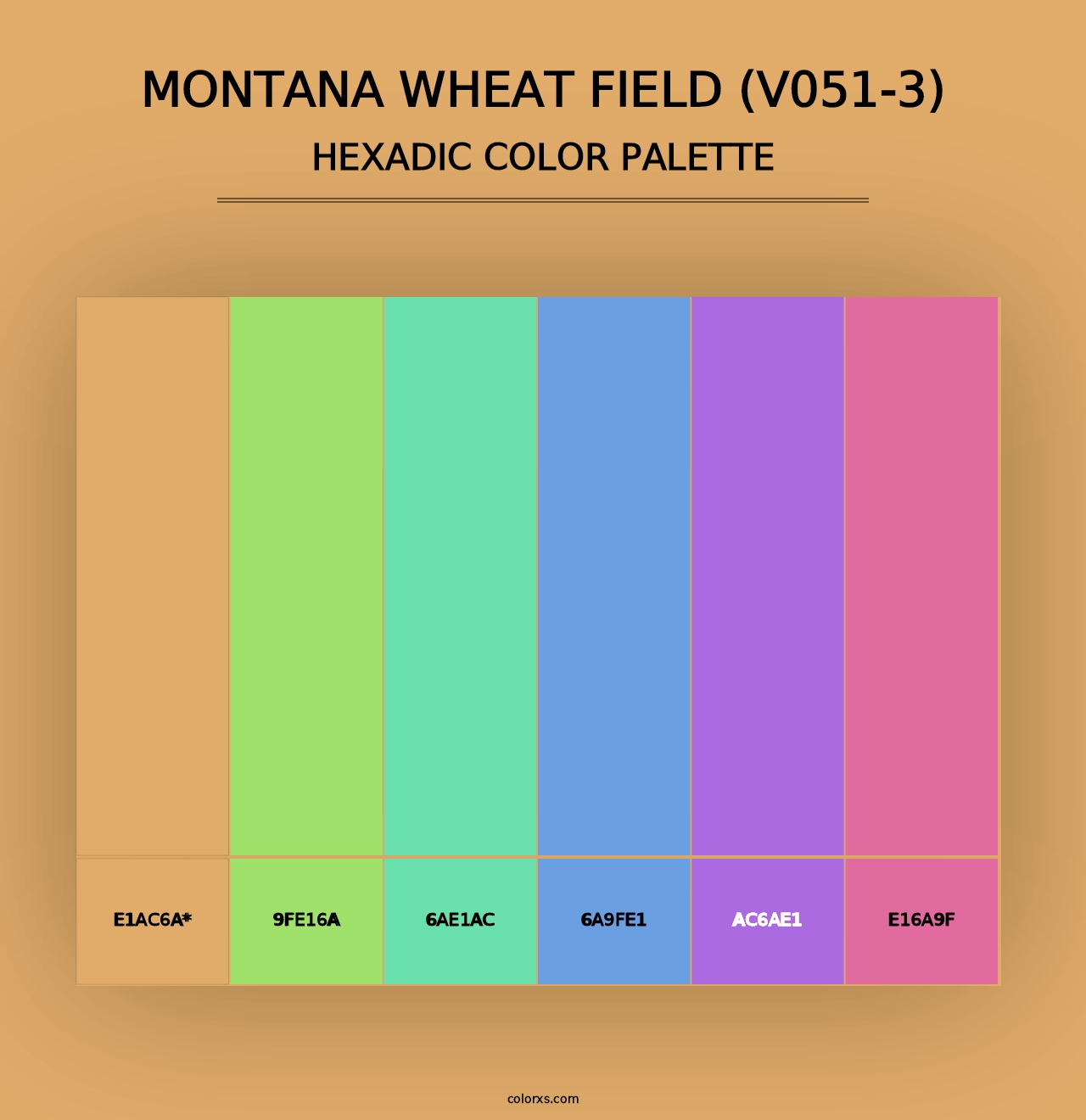 Montana Wheat Field (V051-3) - Hexadic Color Palette