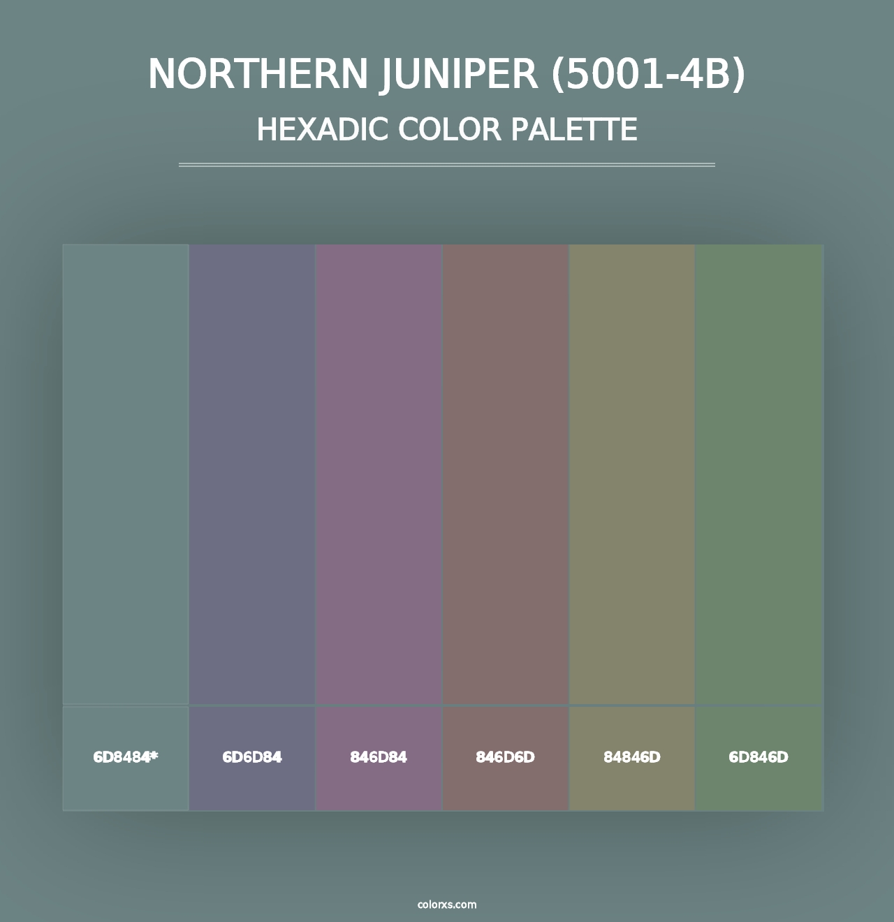 Northern Juniper (5001-4B) - Hexadic Color Palette