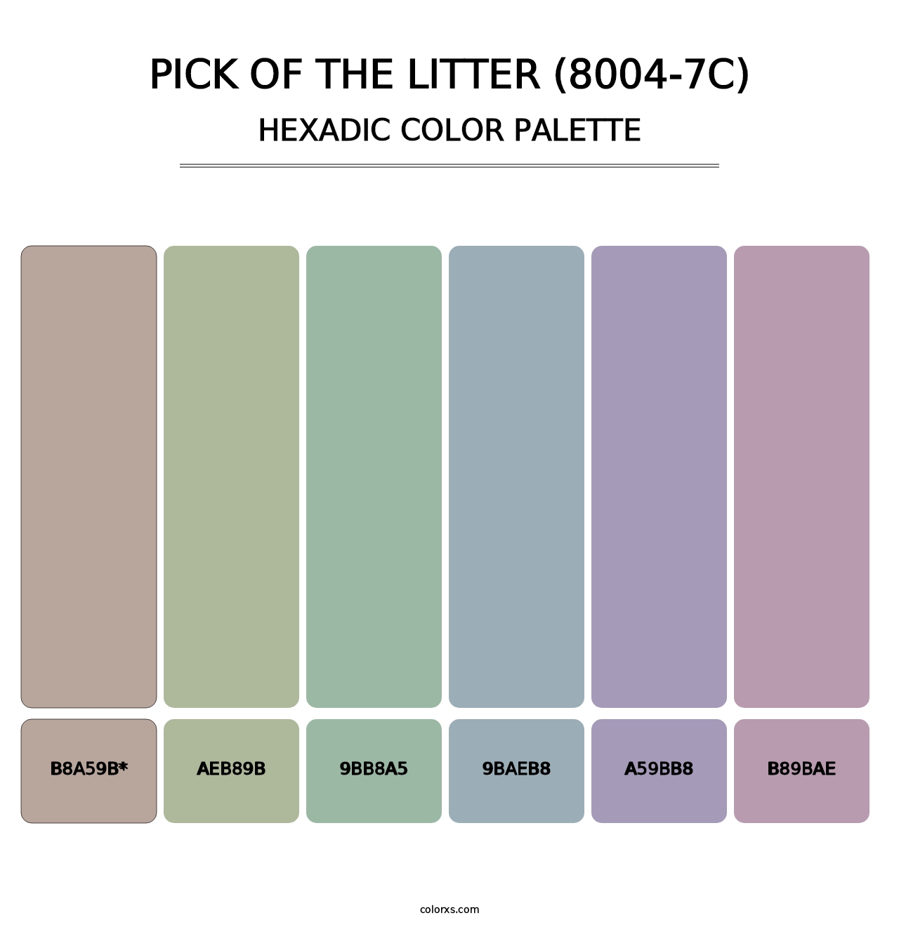 Pick of the Litter (8004-7C) - Hexadic Color Palette