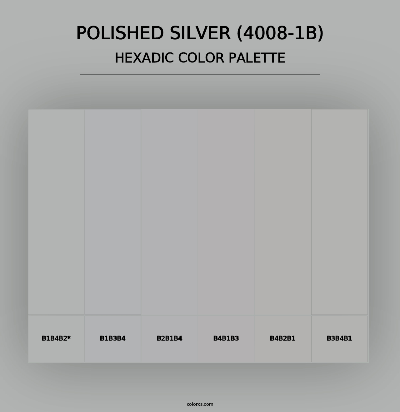 Polished Silver (4008-1B) - Hexadic Color Palette