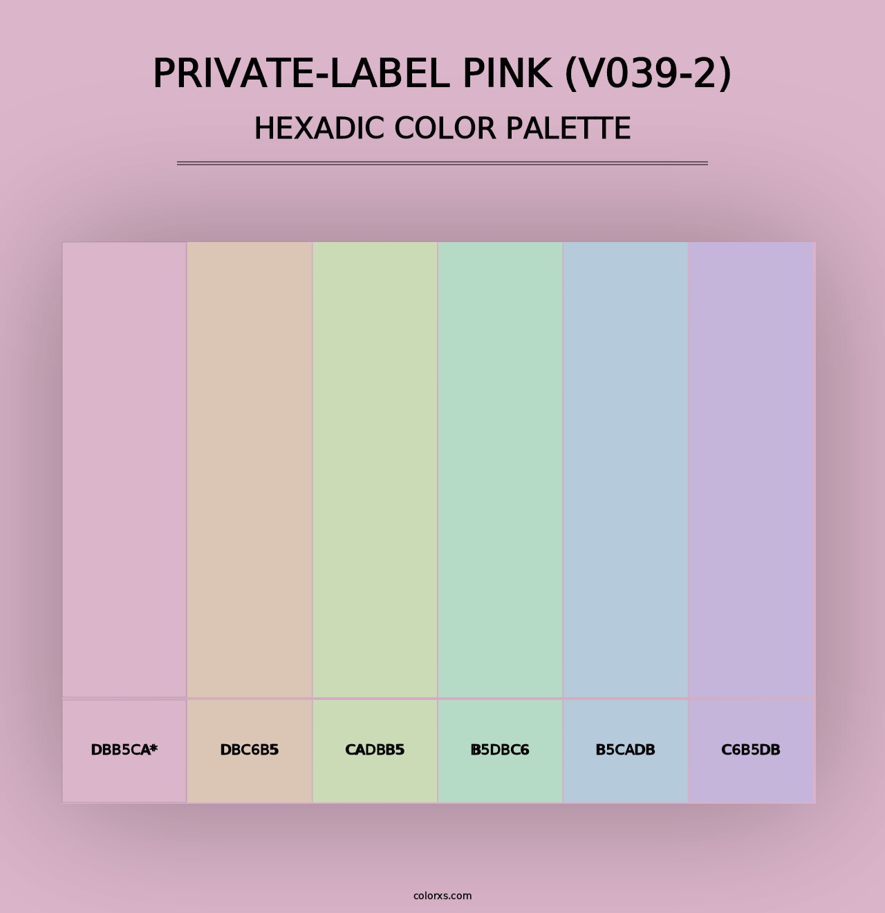 Private-Label Pink (V039-2) - Hexadic Color Palette