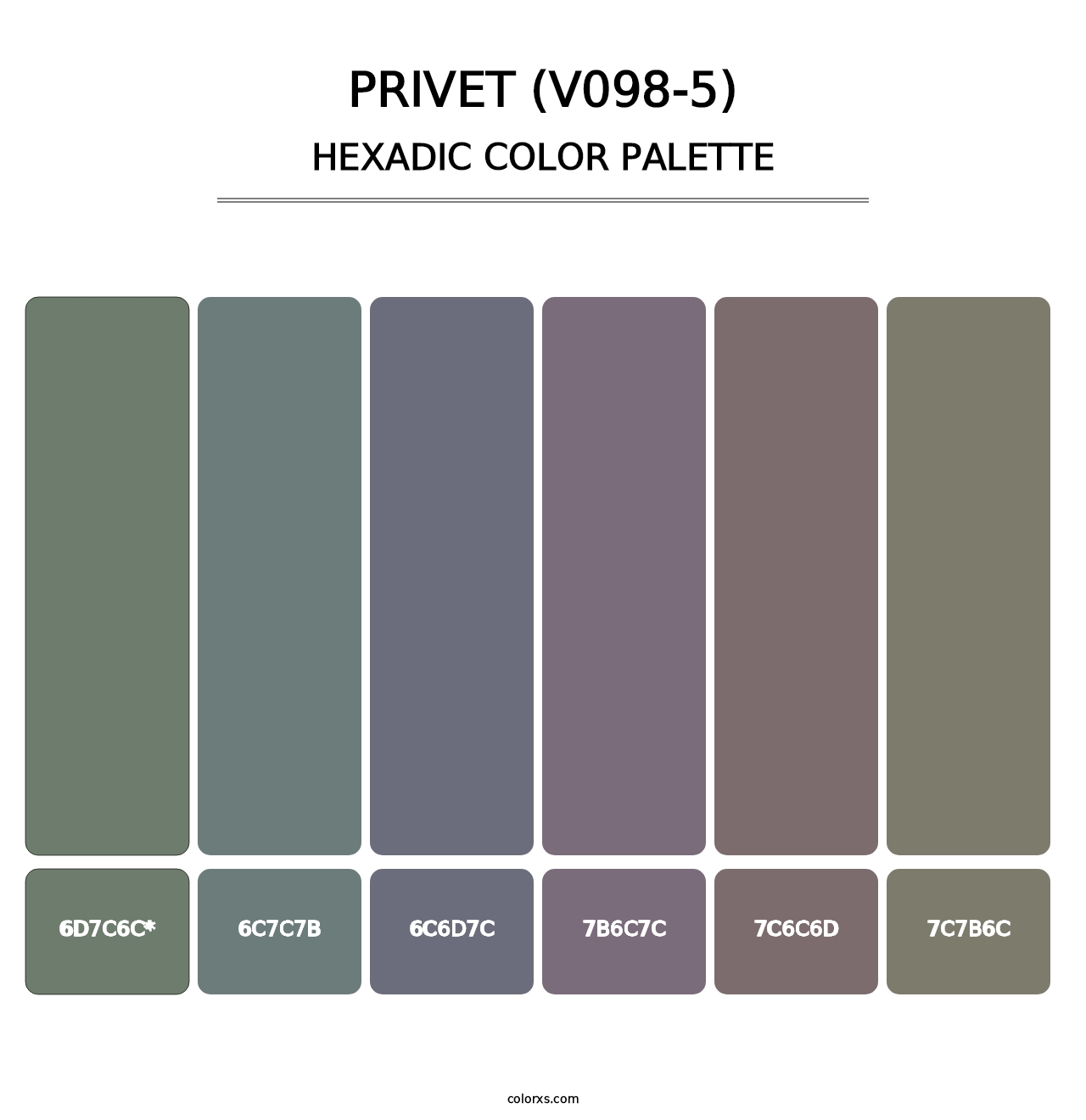 Privet (V098-5) - Hexadic Color Palette