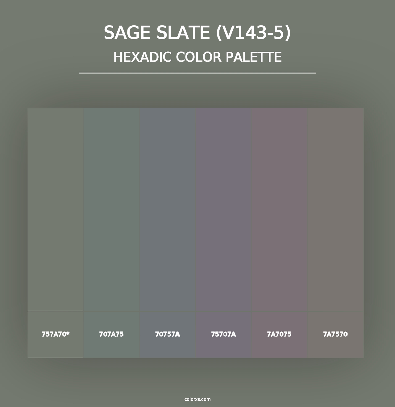 Sage Slate (V143-5) - Hexadic Color Palette