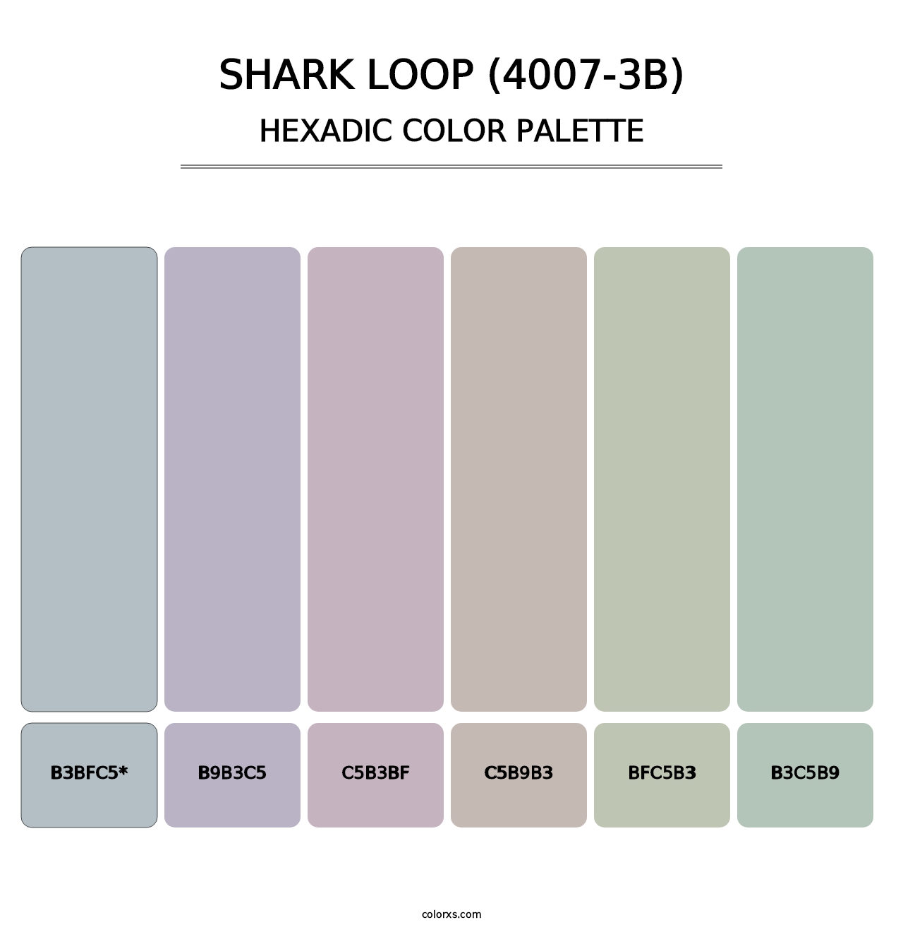 Shark Loop (4007-3B) - Hexadic Color Palette