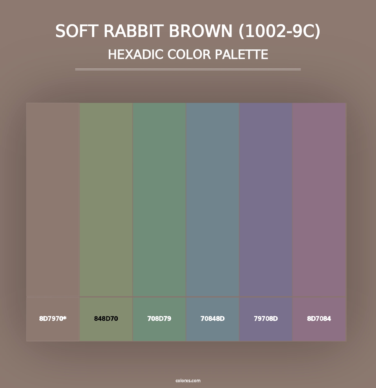 Soft Rabbit Brown (1002-9C) - Hexadic Color Palette