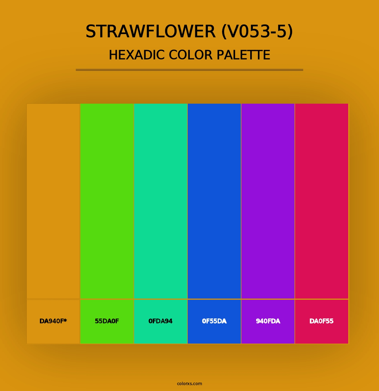 Strawflower (V053-5) - Hexadic Color Palette