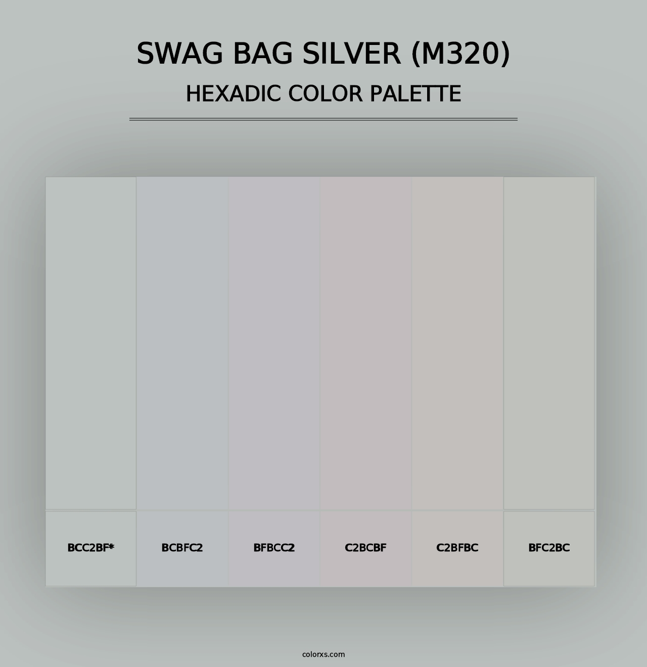 Swag Bag Silver (M320) - Hexadic Color Palette