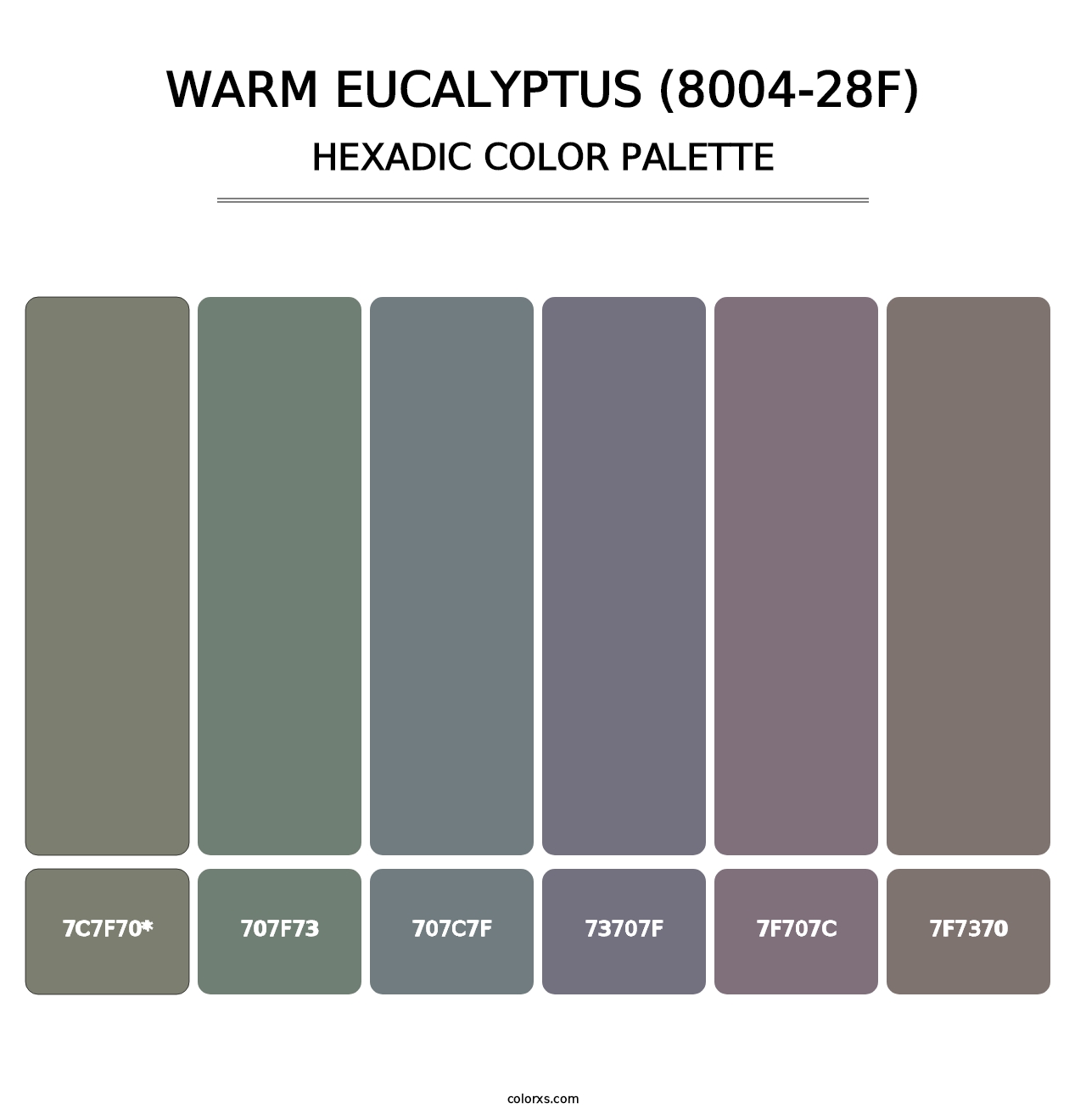 Warm Eucalyptus (8004-28F) - Hexadic Color Palette